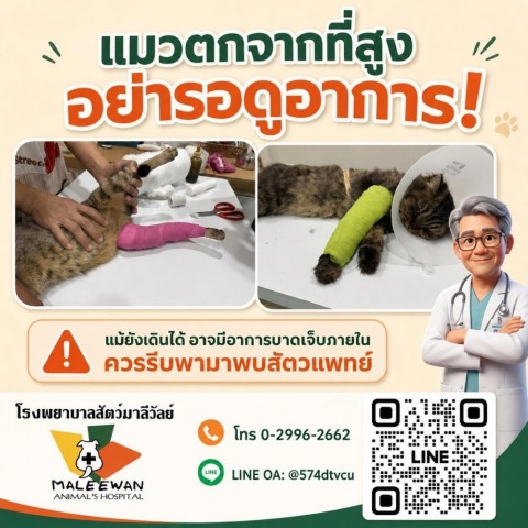 โรงพยาบาลสัตว์มาลีวัลย์ (18)